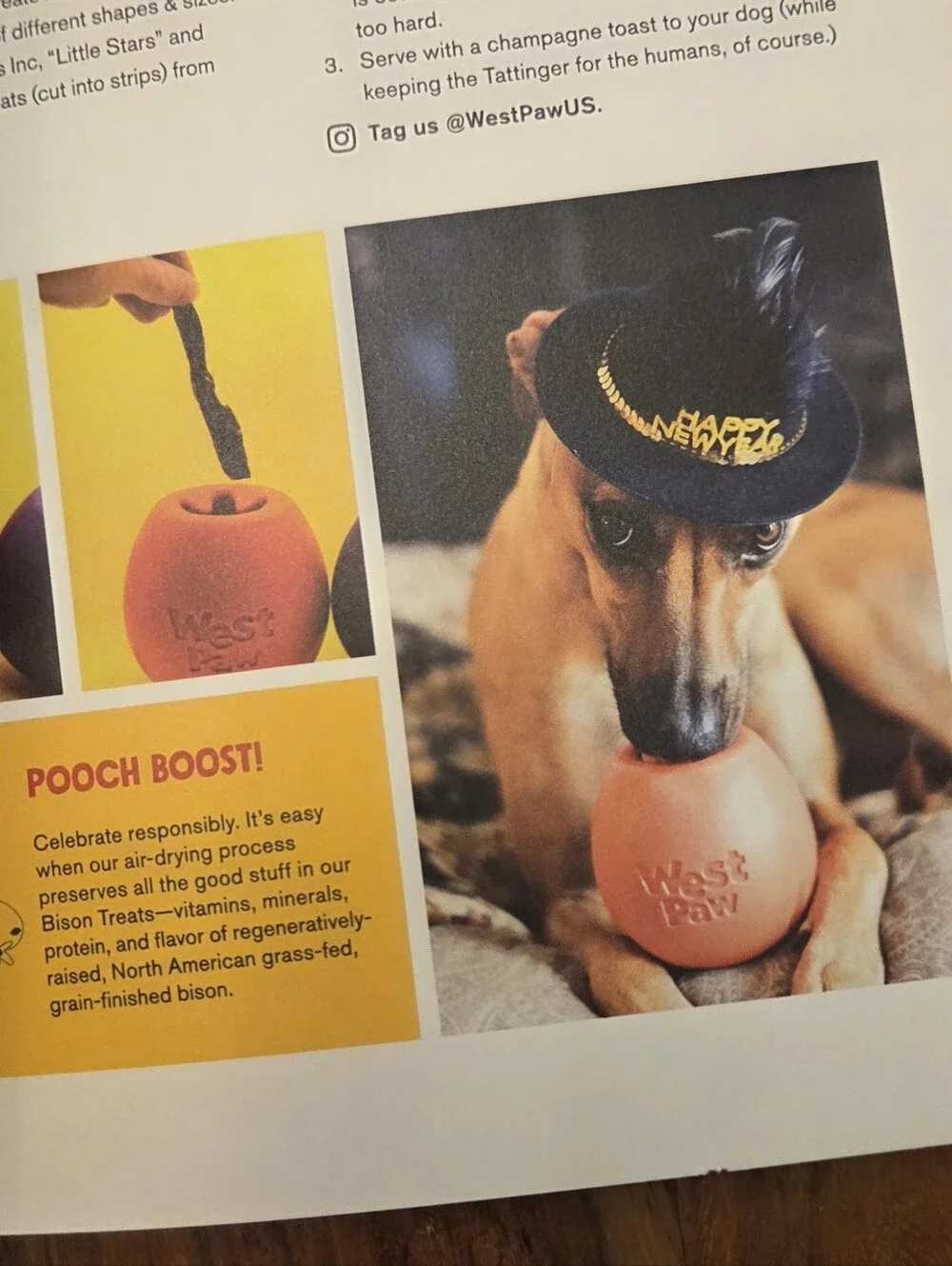 West Paw Treat Toy Recipes For Every Season